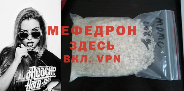 индика Няндома