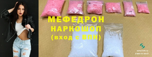 индика Няндома