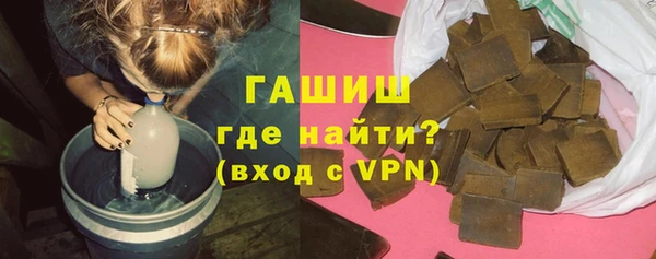 индика Няндома