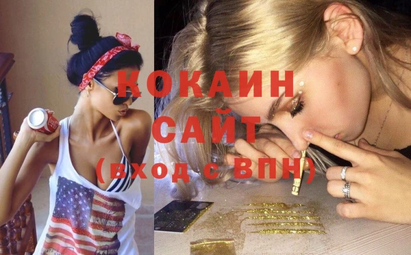 индика Няндома