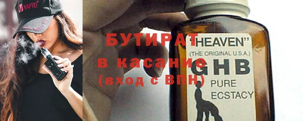 индика Няндома