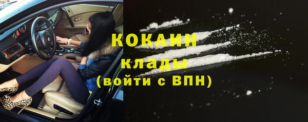 индика Няндома