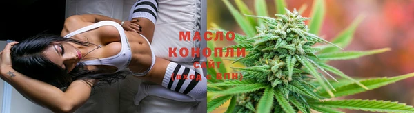 прущие грибы Ленск