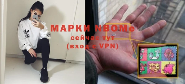 индика Няндома