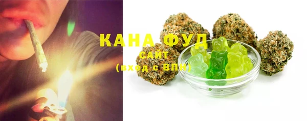 индика Няндома
