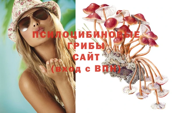 индика Няндома