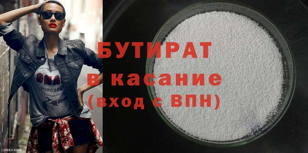 индика Няндома