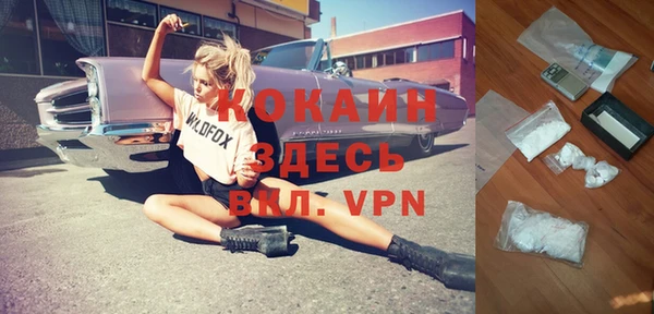 бошки Бронницы