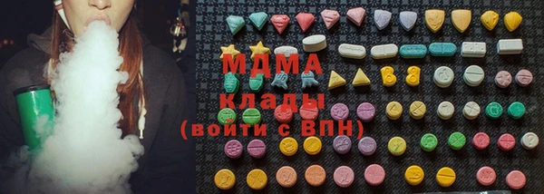 индика Няндома