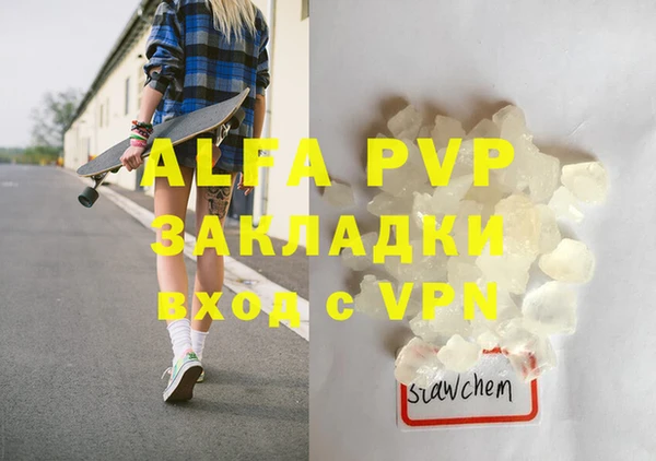 индика Няндома