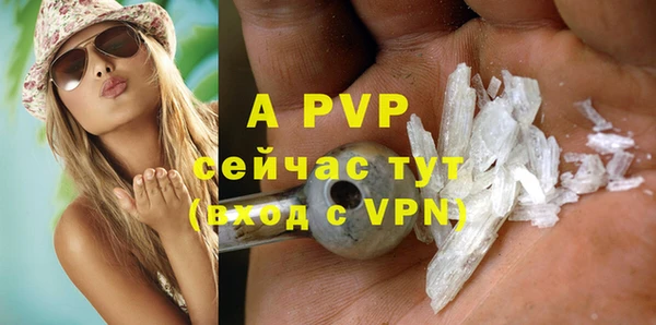 индика Няндома