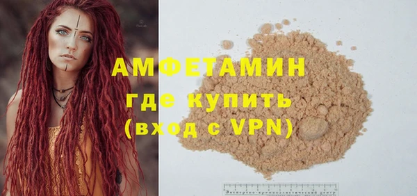 индика Няндома