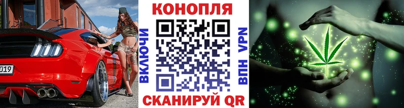 Каннабис OG Kush  Покров 